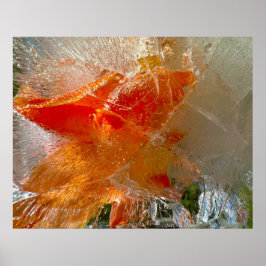 Póster Gladioli en hielo,