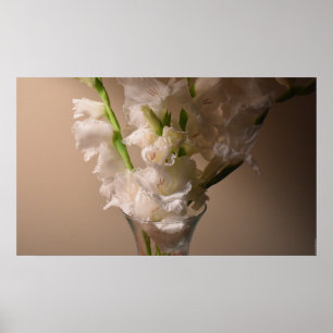 Póster Gladioli, poster