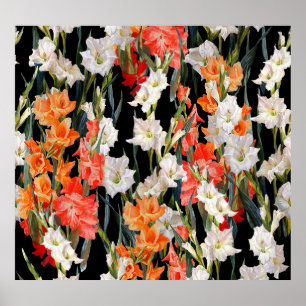 Póster Gladiolus multicolor: acuarela de fondo negro