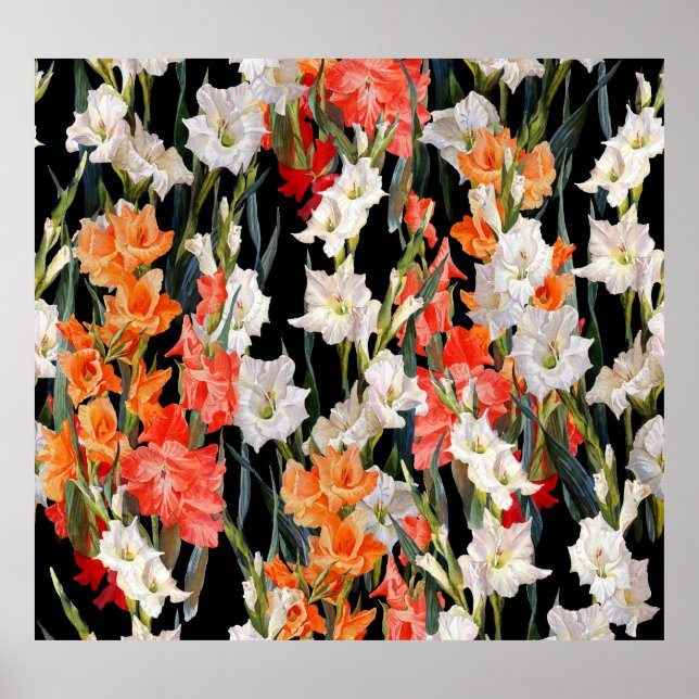 Póster Gladiolus multicolor: acuarela de fondo negro (Frente)