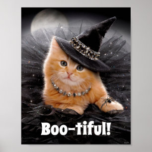 Póster Glamuroso gatito