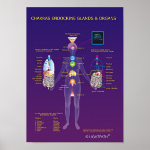 Póster Glándulas endocrinas y órganos de Chakras