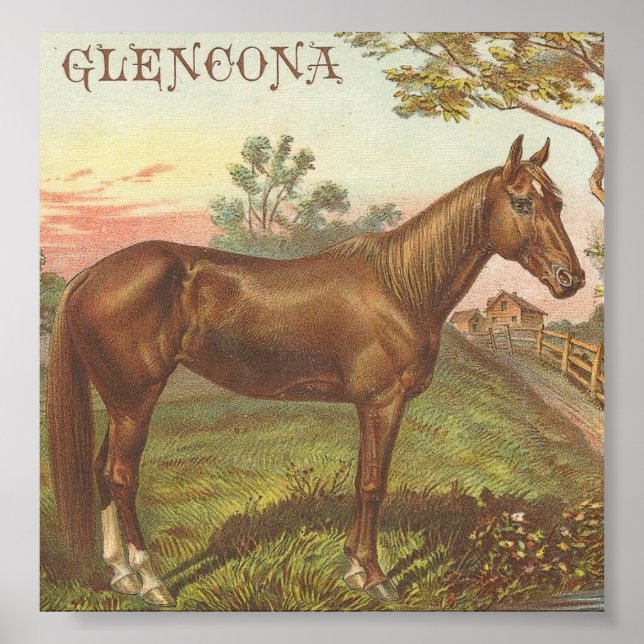 Póster Glencona (Frente)