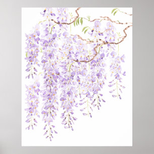 Póster glicinia en flor 2023