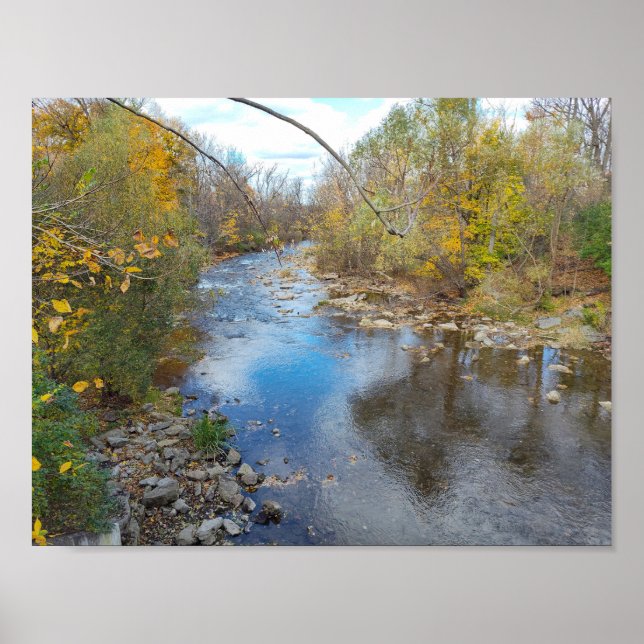 Póster Gliding Reflections (Frente)