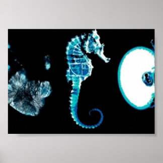 Póster Glifos marginales