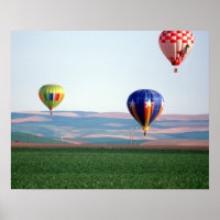 Globos aerostáticos coloridos flotan sobre el trig