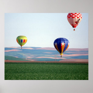 Póster Globos aerostáticos coloridos flotan sobre el trig