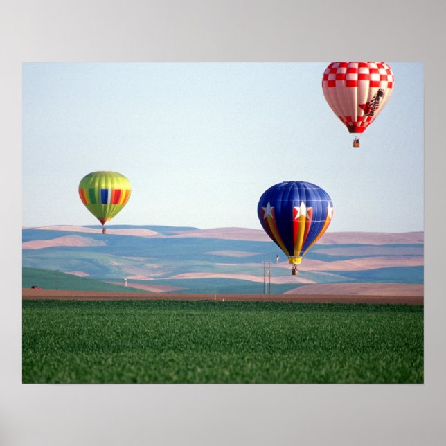 Póster Globos aerostáticos coloridos flotan sobre el trig (Frente)