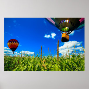 Póster Globos del aire caliente