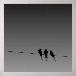 Póster Glooming Blackbirds Silhouette on Wire Poster