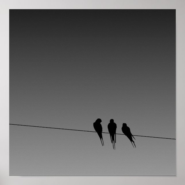 Póster Glooming Blackbirds Silhouette on Wire Poster (Frente)