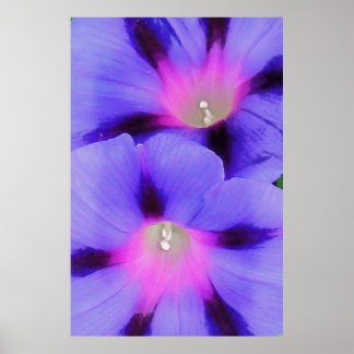 Póster Gloria artística morada morada y rosa