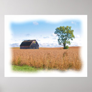 Póster Gloria de descoloramiento