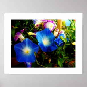 Póster Gloria de la Mañana