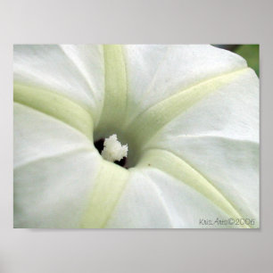 Póster Gloria de la Mañana