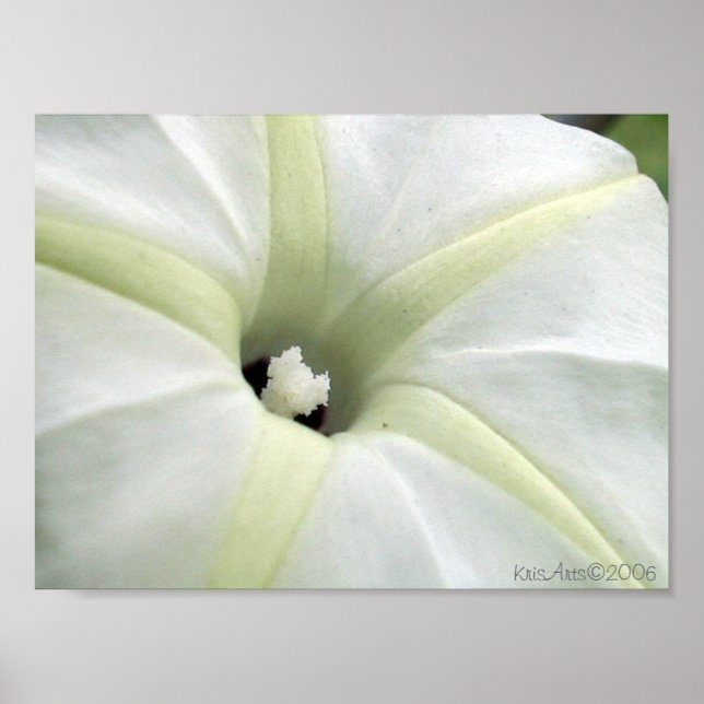 Póster Gloria de la Mañana (Frente)