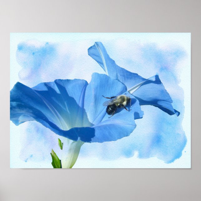 Póster Gloria de la Mañana Azul y Bumblebee (Frente)