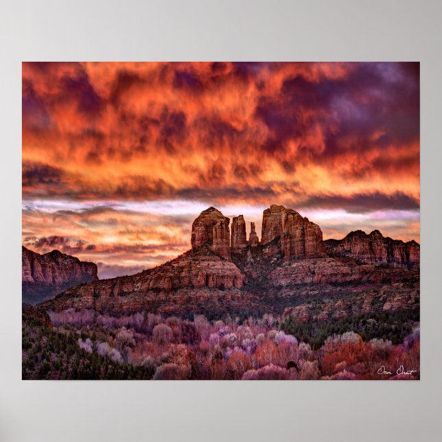 Póster Gloria de la Mañana Rosa (Frente)