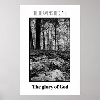 Póster Gloria de la Selva Blanca y Negra a Dios Poster