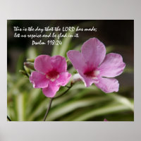 Gloria de Morning Rosa con Verse de Salm 118:24