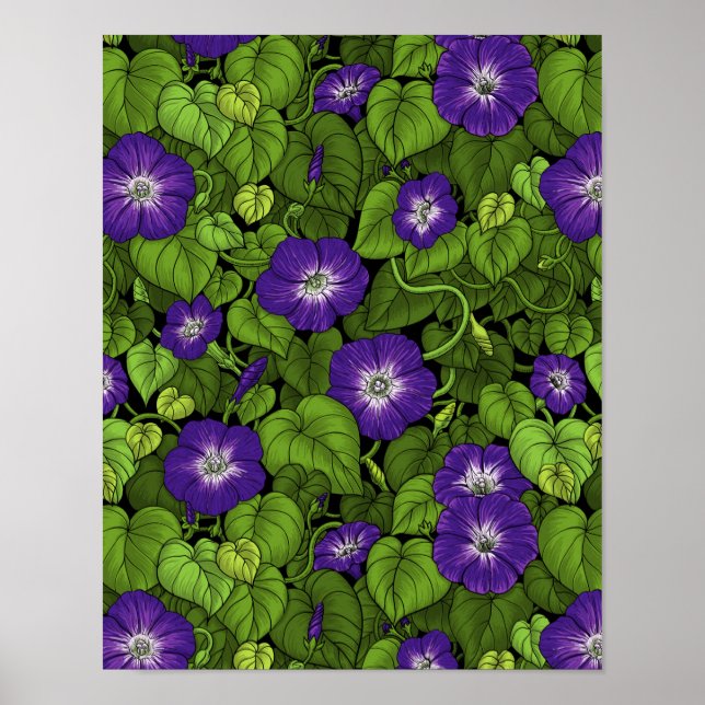 Póster Gloria matutina en morado y verde (Frente)