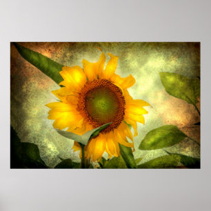 Póster Gloria (Poster de girasol)