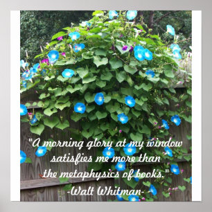 Póster Gloria poster/Mañana