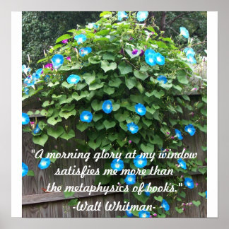 Póster Gloria poster/Mañana