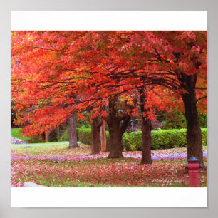 Póster Gloria roja de otoño de MiySpirit