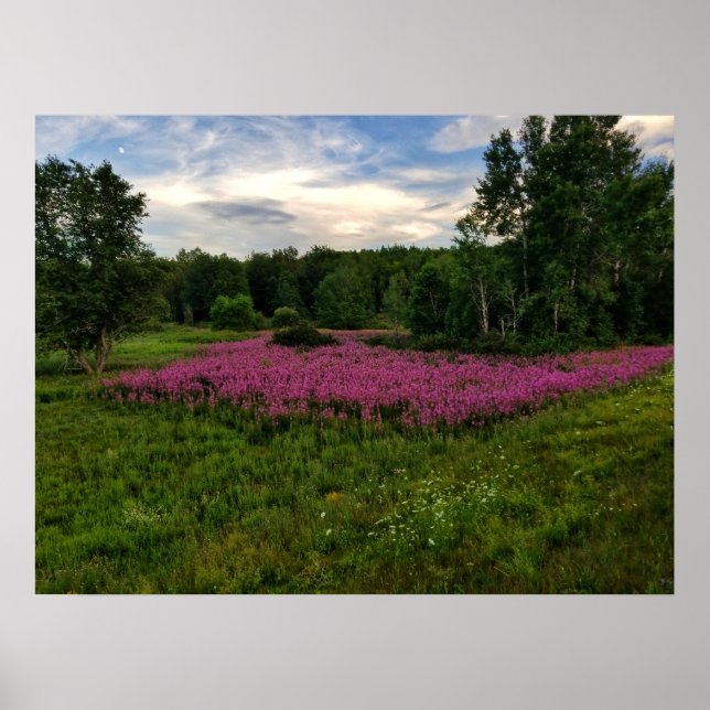 Póster Glories of Maine (Frente)