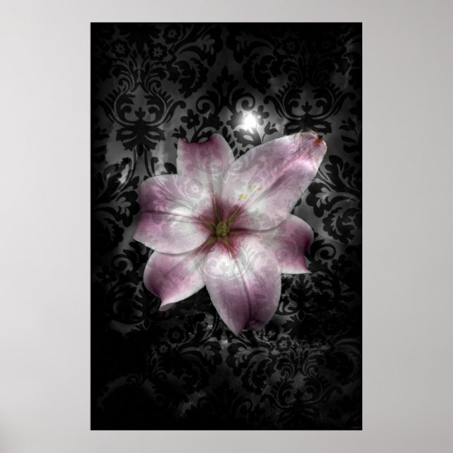 Póster Glorioso Misterio (Frente)