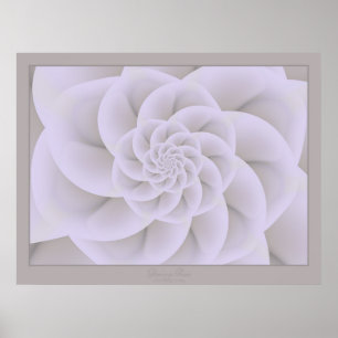 Póster Glorioso Rosa