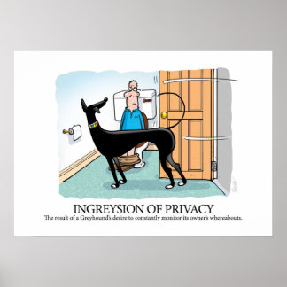Póster Glosario de Greyhound Ingresión de la privacidad