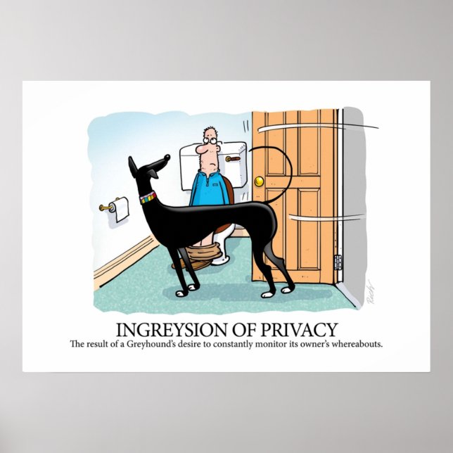 Póster Glosario de Greyhound Ingresión de la privacidad (Frente)