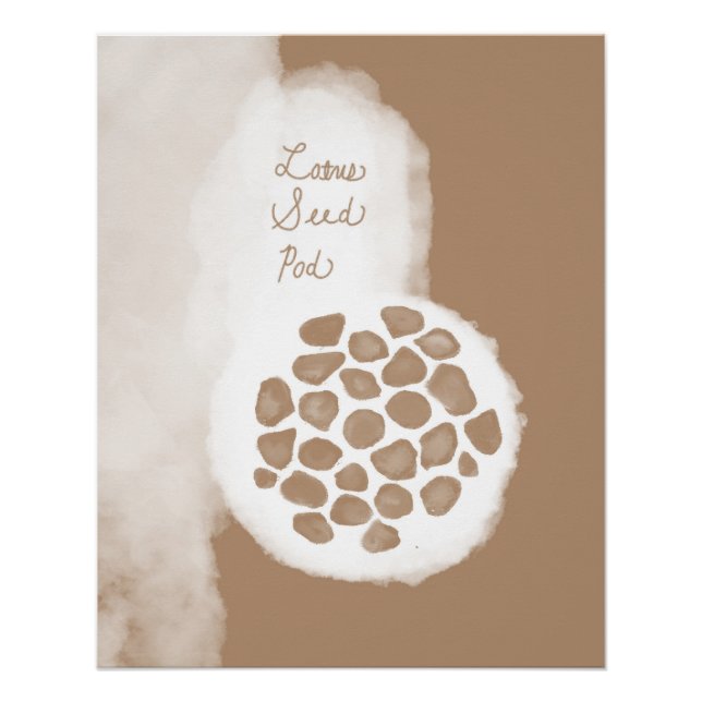 poster gloso de vaina de semillas de objet_11_lotu (Anverso)