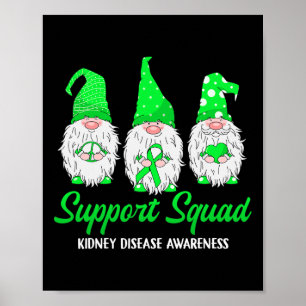 Póster Gnome Support Squad Green Ribbon Ridney Disease Aw