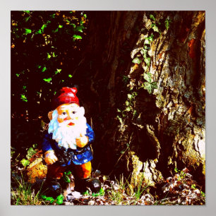 Póster Gnomo capsulado rojo