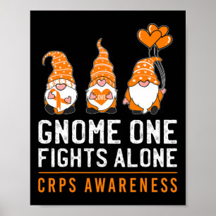 Póster Gnomo Uno Lucha Solo Rsd Crps Conciencia Naranja R