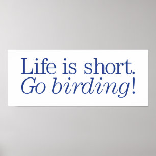 Póster Go Birding!
