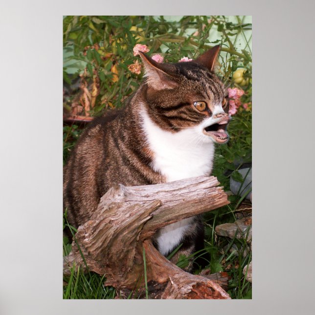 Póster Goacat poster (Frente)