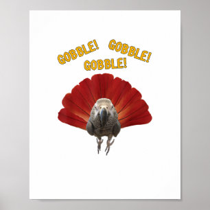 Póster ¡Gobble! Loro gris africano de acción de gracias e
