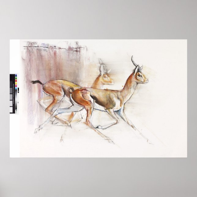 Póster Gobernando Arabian Gazelles 2010 (Frente)