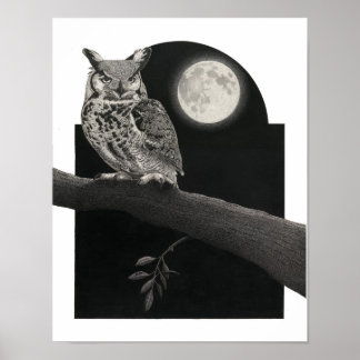 Póster Gobernante de los cielos nocturnos