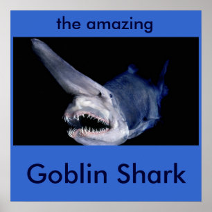 Póster Goblin Shark
