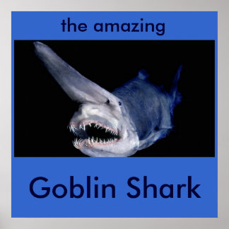 Póster Goblin Shark