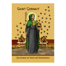 Gobnait de Ballyvourney (SAE 003) Poster
