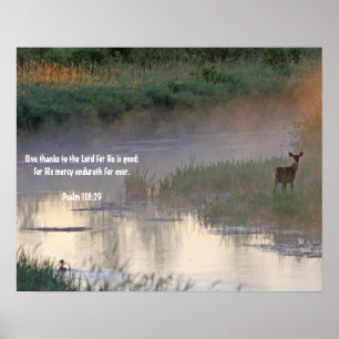 Póster God's Goodness Poster