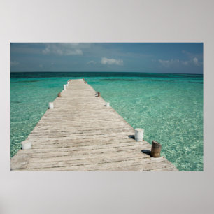 Póster Goff Caye, una popular isla de barrera de arrecife