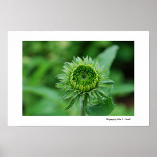 Póster Going Green